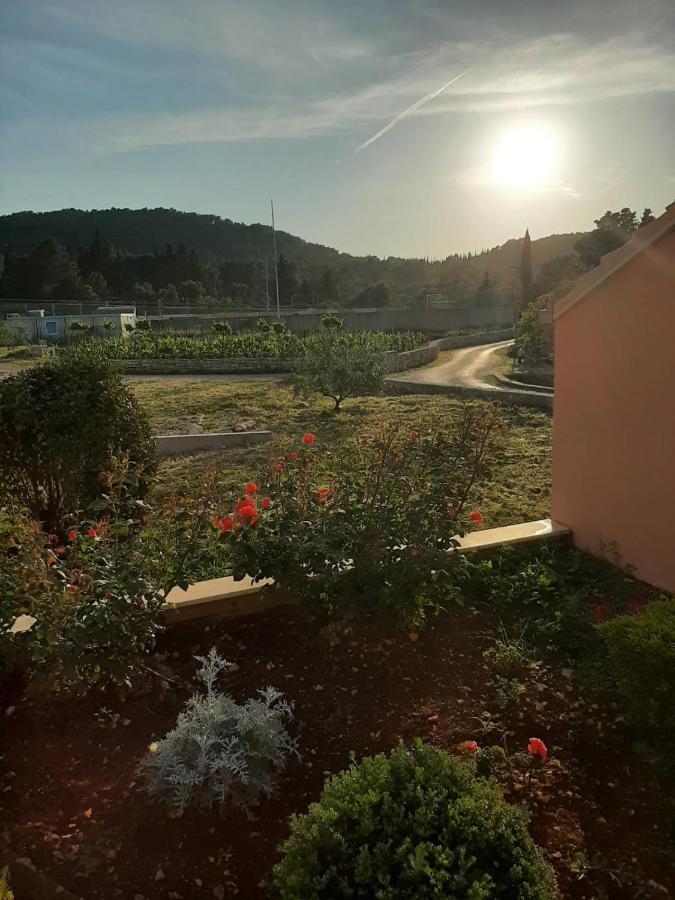 Apartment "Manna Zrnovo Экстерьер фото